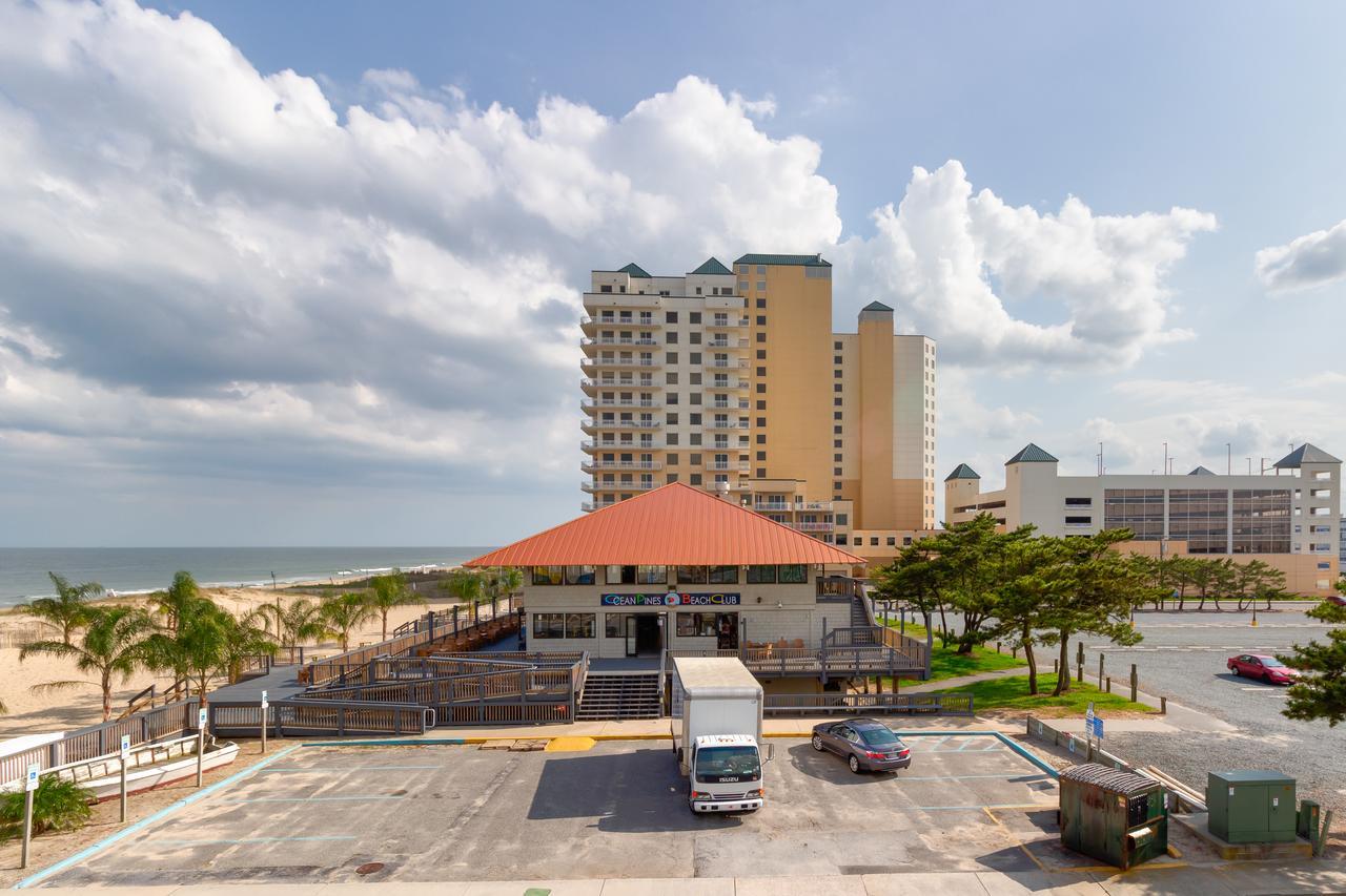 Seas The Day * Ocean City